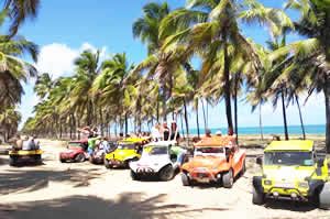 Lup Beach Club: Passeio Ilha de Santo Aleixo + Day Use (Com transfer) -  Porto de Galinhas